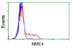 NME4 Antibody in Flow Cytometry (Flow)