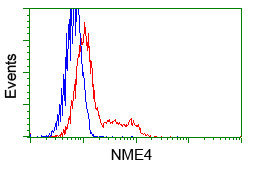 NME4 Antibody in Flow Cytometry (Flow)