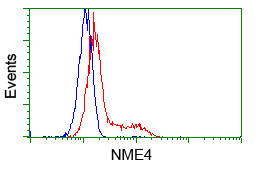 NME4 Antibody in Flow Cytometry (Flow)