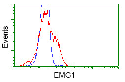 NME4 Antibody in Flow Cytometry (Flow)