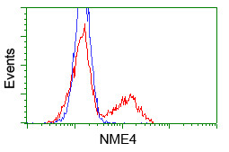 NME4 Antibody in Flow Cytometry (Flow)