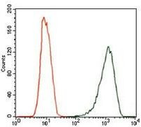 iNOS Antibody in Flow Cytometry (Flow)