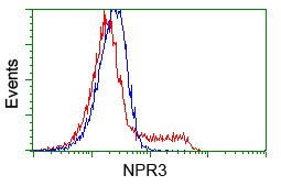 NPR3 Antibody in Flow Cytometry (Flow)