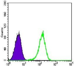 Glucocorticoid Receptor Antibody in Flow Cytometry (Flow)