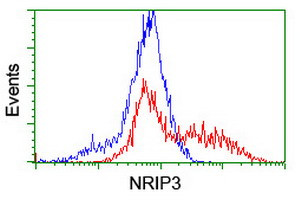 NRIP3 Antibody in Flow Cytometry (Flow)