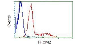 DDK Antibody in Flow Cytometry (Flow)