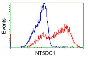 NT5DC1 Antibody in Flow Cytometry (Flow)