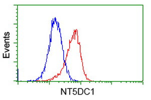 NT5DC1 Antibody in Flow Cytometry (Flow)