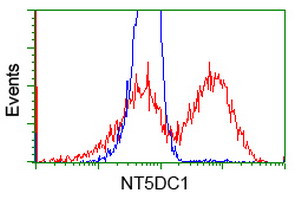 NT5DC1 Antibody in Flow Cytometry (Flow)