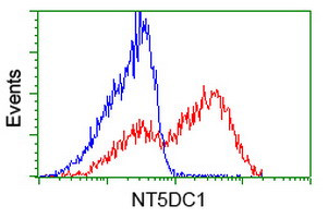 NT5DC1 Antibody in Flow Cytometry (Flow)