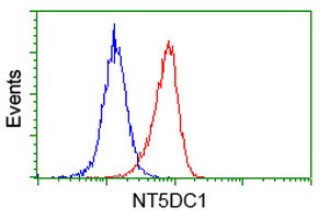 NT5DC1 Antibody in Flow Cytometry (Flow)