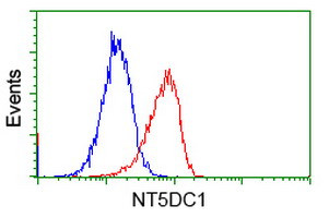 NT5DC1 Antibody in Flow Cytometry (Flow)