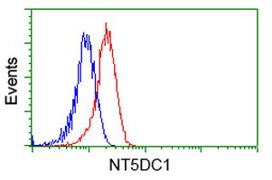 NT5DC1 Antibody in Flow Cytometry (Flow)