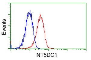 NT5DC1 Antibody in Flow Cytometry (Flow)