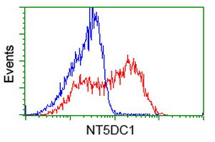 NT5DC1 Antibody in Flow Cytometry (Flow)