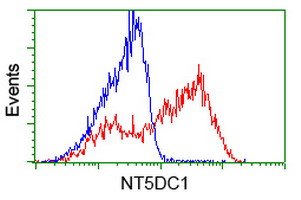 NT5DC1 Antibody in Flow Cytometry (Flow)