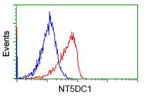 NT5DC1 Antibody in Flow Cytometry (Flow)