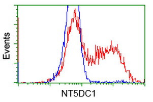 NT5DC1 Antibody in Flow Cytometry (Flow)