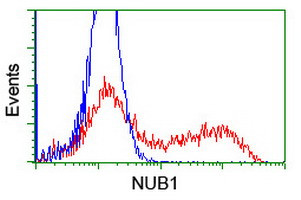 NUB1 Antibody in Flow Cytometry (Flow)