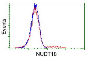 NUDT18 Antibody in Flow Cytometry (Flow)