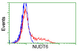 NUDT6 Antibody in Flow Cytometry (Flow)