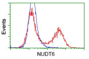 NUDT6 Antibody in Flow Cytometry (Flow)