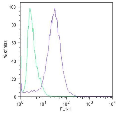 Nanog Antibody in Flow Cytometry (Flow)