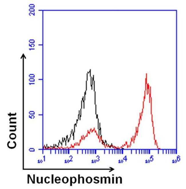 NPM1 Antibody in Flow Cytometry (Flow)