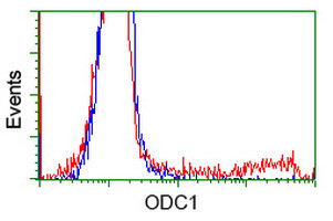 ODC1 Antibody in Flow Cytometry (Flow)