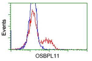 OSBPL11 Antibody in Flow Cytometry (Flow)