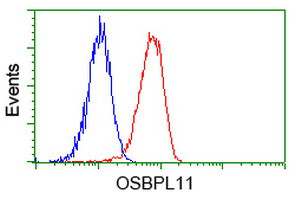 OSBPL11 Antibody in Flow Cytometry (Flow)