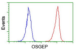 OSGEP Antibody in Flow Cytometry (Flow)