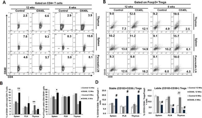 CD134 (OX40) Antibody in Flow Cytometry (Flow)