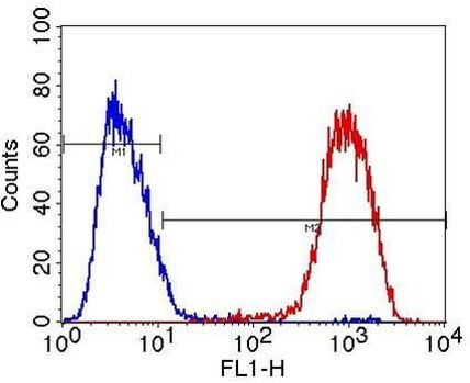 OCT4 Antibody in Flow Cytometry (Flow)