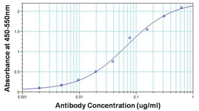 Ovalbumin Antibody in ELISA (ELISA)