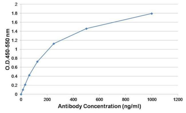 Ovalbumin Antibody in ELISA (ELISA)