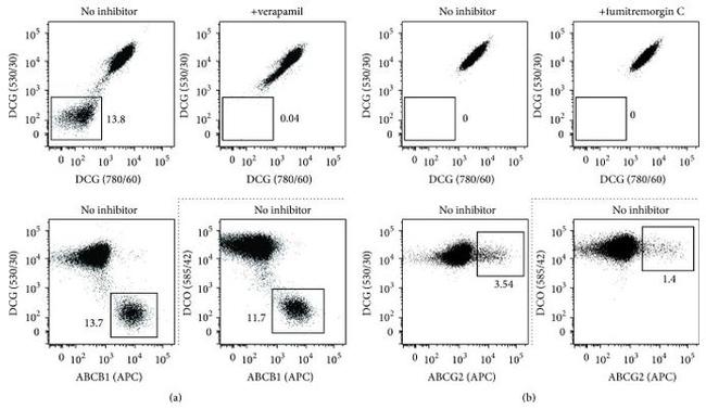 CD243 (ABCB1) Antibody in Flow Cytometry (Flow)