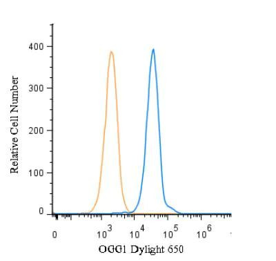 OGG1 Antibody in Flow Cytometry (Flow)