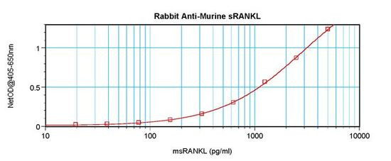 CD254 (RANK Ligand) Antibody in ELISA (ELISA)