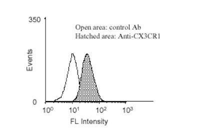 CX3CR1 Antibody in Flow Cytometry (Flow)