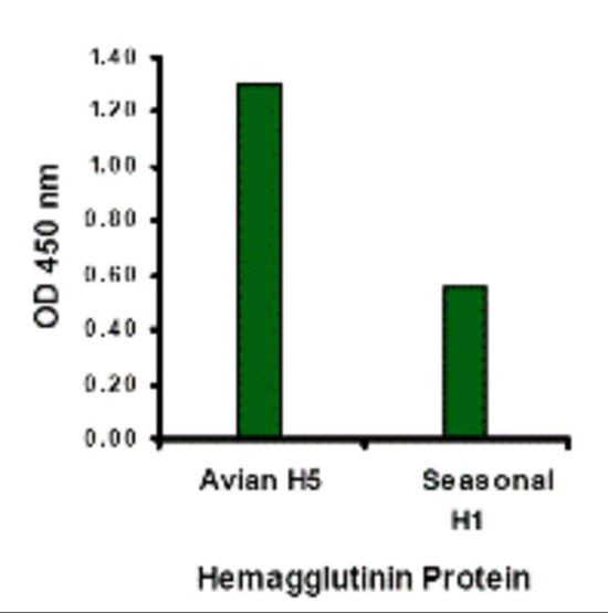 Avian Influenza A HA Antibody in ELISA (ELISA)