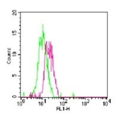 TLR7 Antibody in Flow Cytometry (Flow)