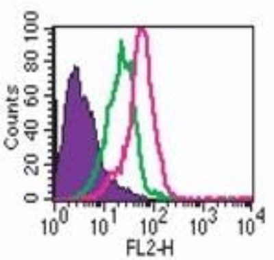 TLR7 Antibody in Flow Cytometry (Flow)