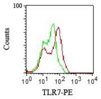 TLR7 Antibody in Flow Cytometry (Flow)