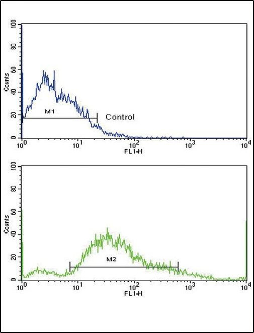 PDGFRB Antibody in Flow Cytometry (Flow)