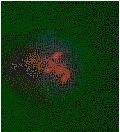 5-Methylcytosine Antibody in Immunocytochemistry (ICC/IF)