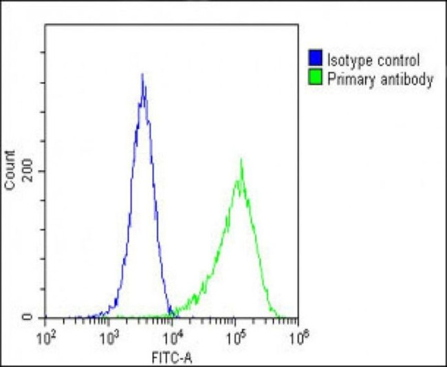 FGFR2 Antibody in Flow Cytometry (Flow)