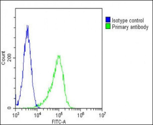 FGFR2 Antibody in Flow Cytometry (Flow)