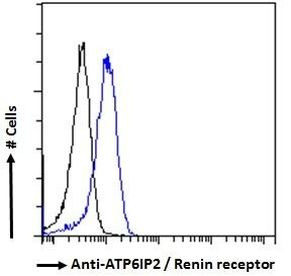 ATP6IP2 Antibody in Flow Cytometry (Flow)