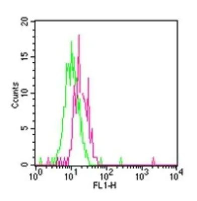 TLR12 Antibody in Flow Cytometry (Flow)